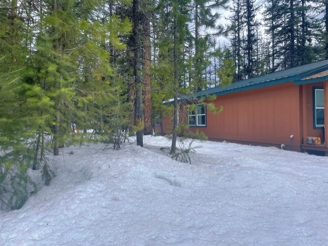 Family Cottage (no animals allowed)