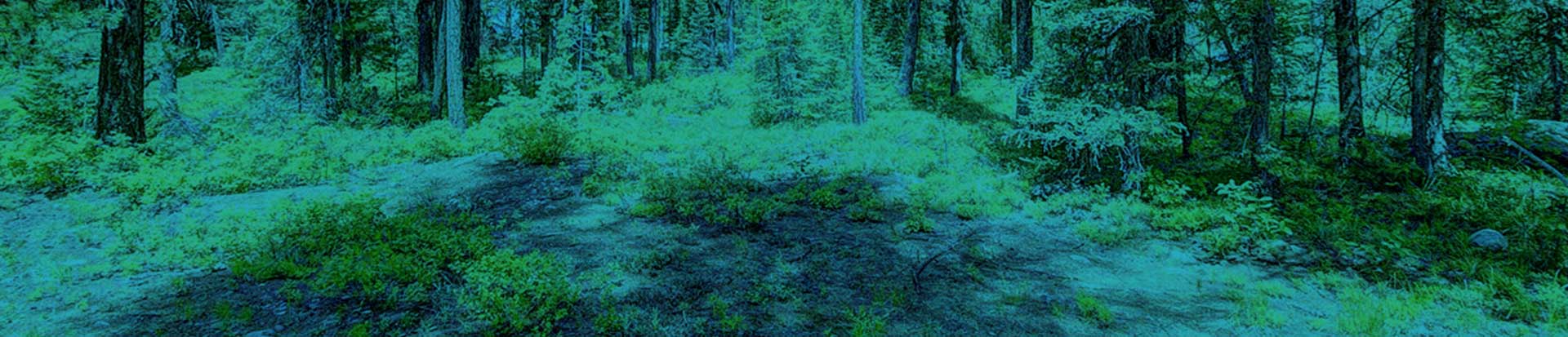 rv parks near east glacier mt